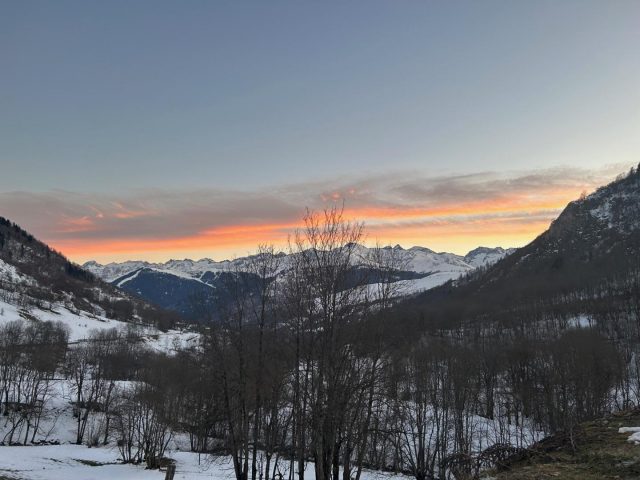 31G101655-297135ed04c044218e1d5eb154e721e5