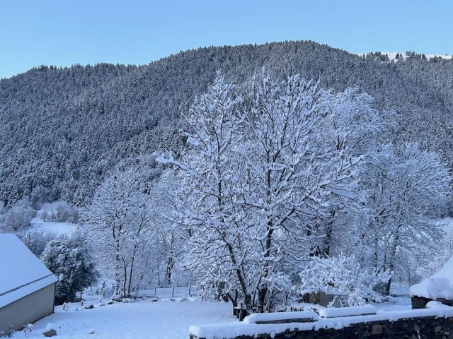 31G101655-68d876f6f1f0423a9e7af3750fd05cf2