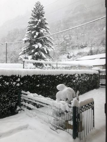 31G101657-85a8d530fdf54d47bccabb94504a7e8d