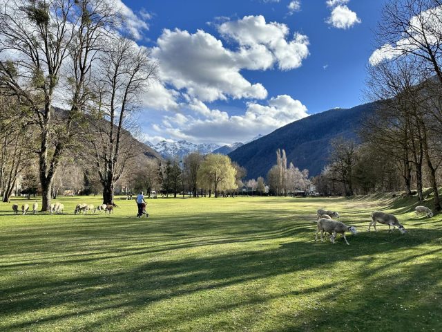 31G101657-f5687d466dbb4d8aa3065d11e694f8ae