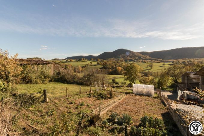 31G101659-49c4c28780f14312b95d7c43ea36297a