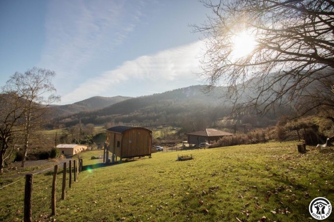 31G101666-8c95e422f3b546789c28c372ac02aee1