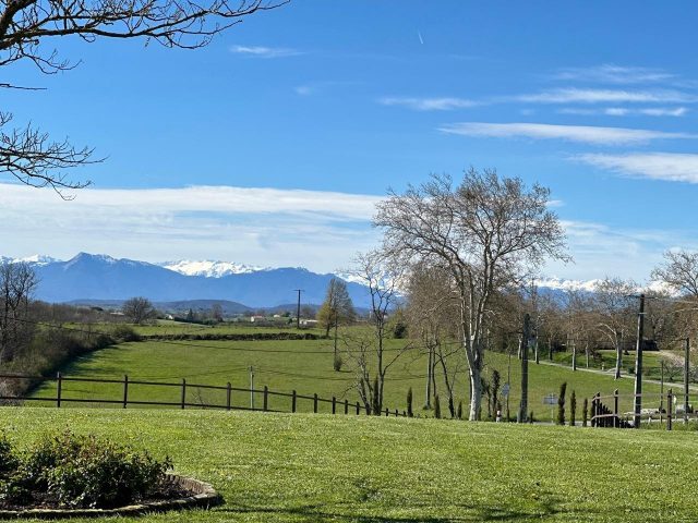 31G101688-1e386143efe24e5b9177fbcce6b9ef06