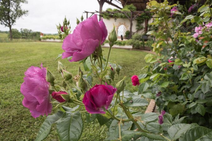 31G101688-30875651b17a46de847fcd9a58ba735a