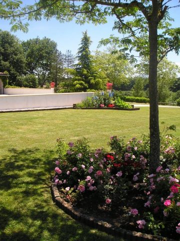 31G101688-512276dd178146dab8f3db6fe59fe974