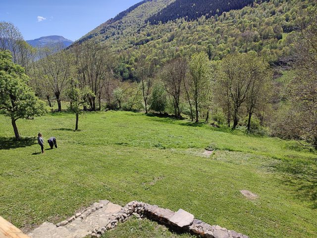 31G101695-72208ff170ec49e893e3c4c83c66184a