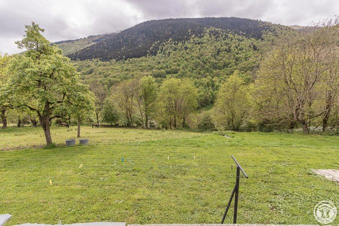 31G101695-d14d9e2e31ab433697ca9aa533c72f6a