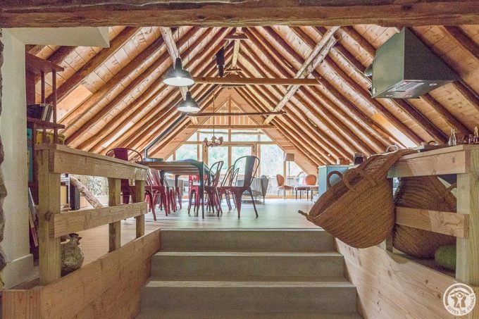 31G101695-e25c76ff00a84a608c01832131036f21