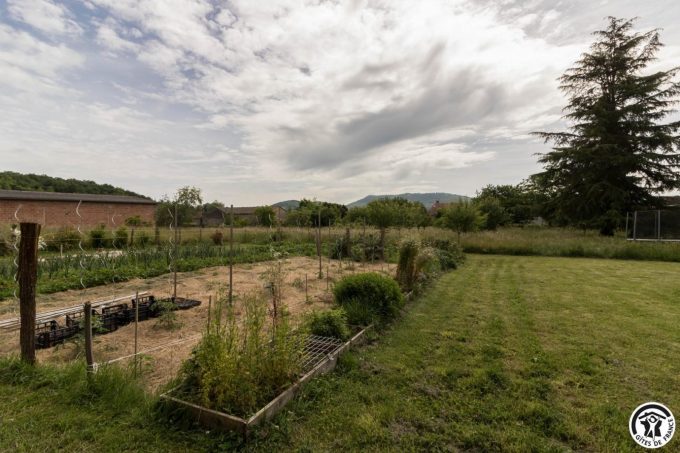 31G101699-394fc8044a1e454ba2336ed25c31eed0