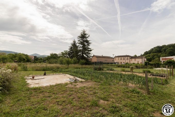 31G101699-4e37fd3055a44965b491862dfd744aec