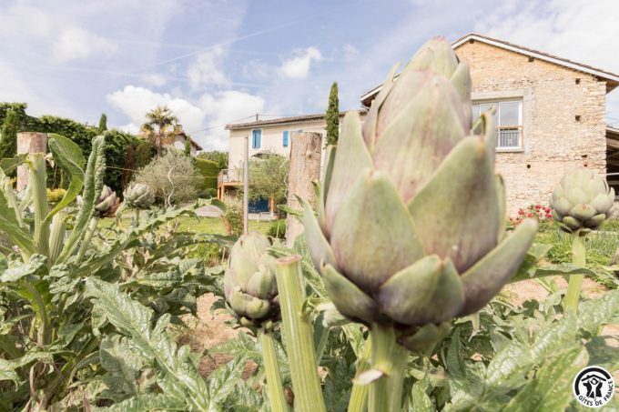 31G101699-5a65eca9da7847309d042365b932ab7f