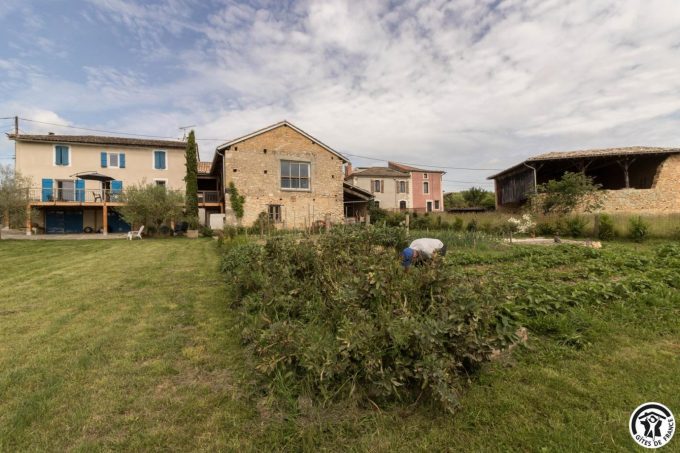 31G101699-825ecc494d7648a28ab3483b52f3ef04