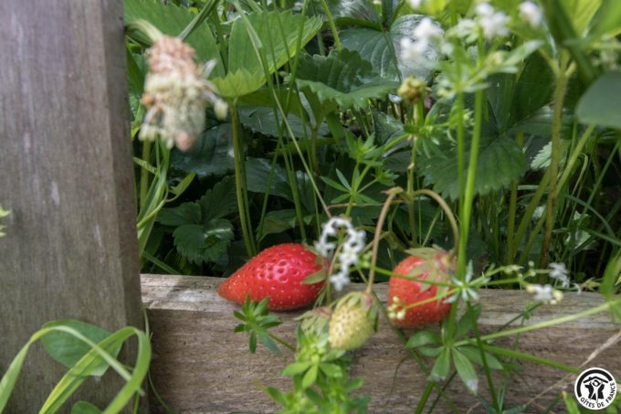 31G101699-d5d697bc137d46e6981b0927df0cb03f