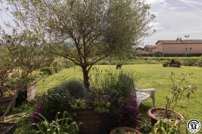 31G101699-da866f8d420b4bbaa5cb52c9e45b6ae1