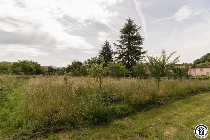 31G101699-e12388558c3a43d28e9e77fa364071d7