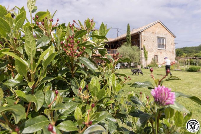 31G101699-e34cb27fae854c3790a00c32f08fe364