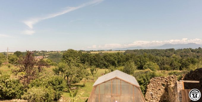 31G101704-0cc1e5a39a6f412bb5c587582176327d