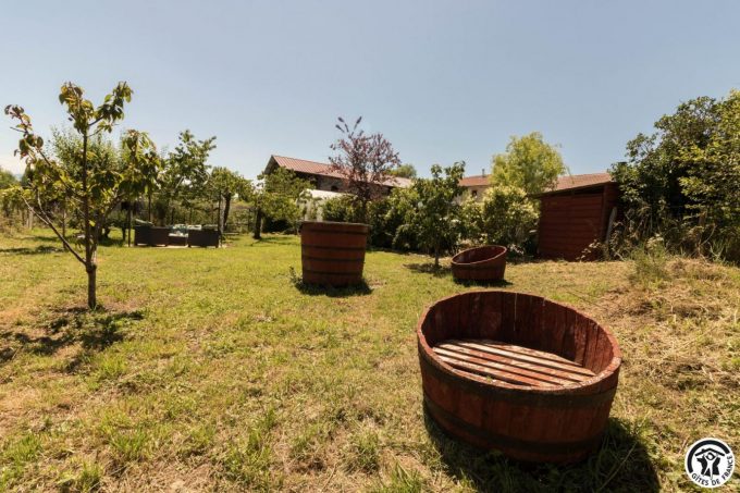 31G101704-28088cc8cfff48af97ff93039b579ca7