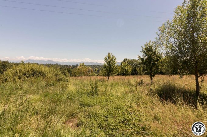 31G101704-360855b2979849df9f92801a8c166479