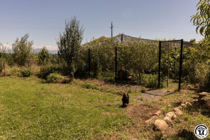 31G101704-453b70e01baf48faa69c090c772ca199