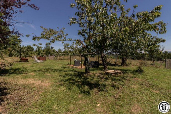 31G101704-71ddb086c9b648d9b68f82355ad86b5b