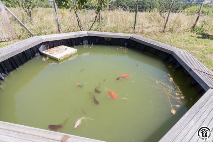 31G101704-80f005bc61604604b73f6fbbc1b2c21c