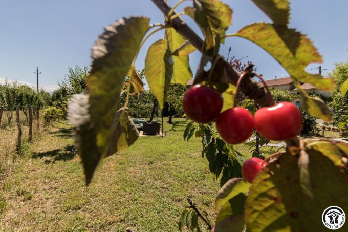 31G101704-a16df771dde947f98ec9a9285389d60a