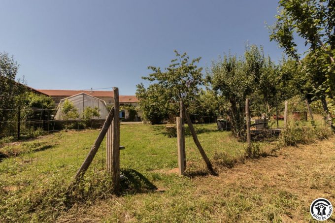 31G101704-ac48ad39f3044905b2fa2e035c37ca45