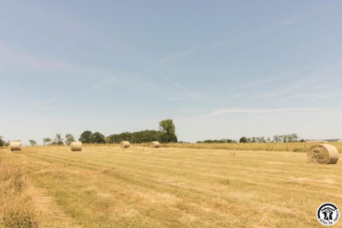 31G101706-2cc348f9c8414c2eb75930ed58f03ea7