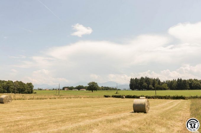 31G101706-893a4ab807934abfb275d68ba8886f78