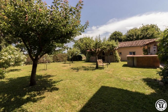 31G101706-8df91ec25b6c4b71a40dff407dc7fa3b