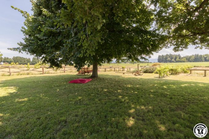 31G101708-2a802a91550d4e0398fd20db7d706719