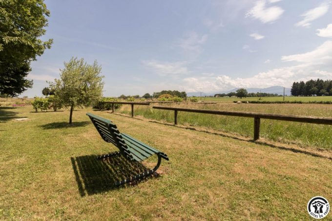 31G101708-44355e5e697944d9ad8241521b2355bb