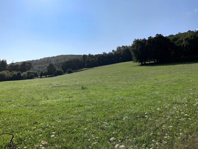 31G101712-3eb76feaef6549bbaca9992879331151