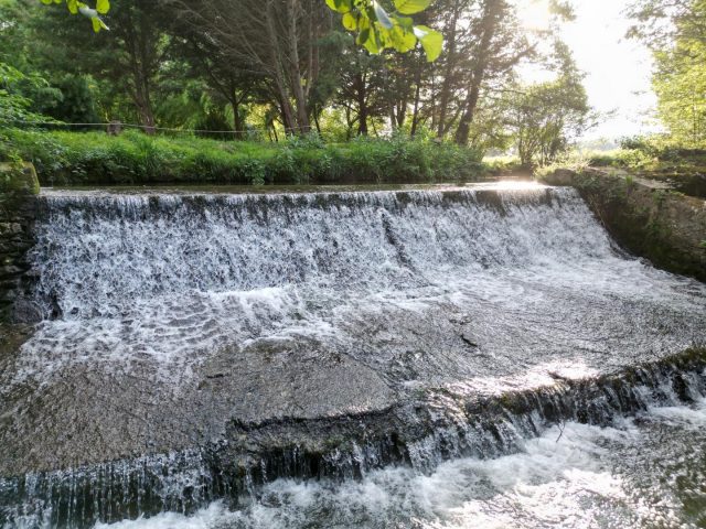 31G101713-48b32a991591472eb6a56d7958d690e0