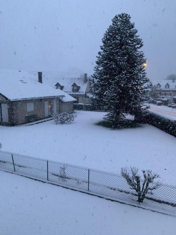 31G101714-35740c880a3e468baefcbd7ef76ef89b