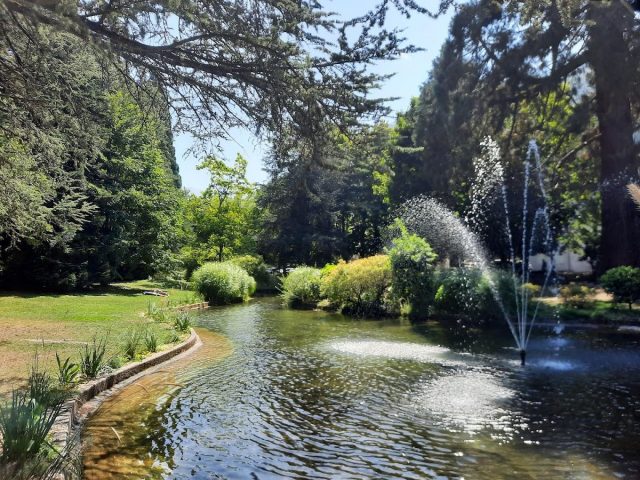 31G101714-792cc727bcd14c8d90ed1e3b527f08f6