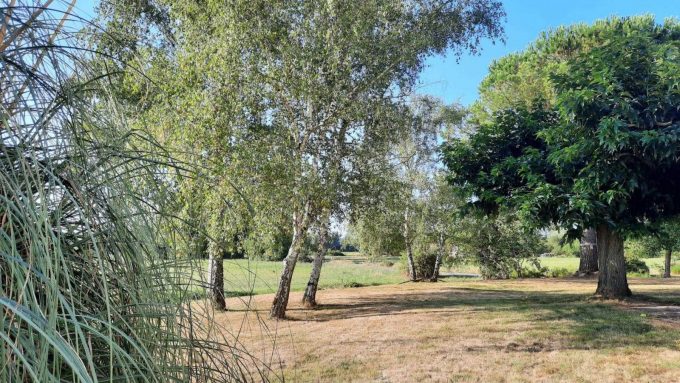 31G101724-0012205b66664403b8683b21c72f00ba