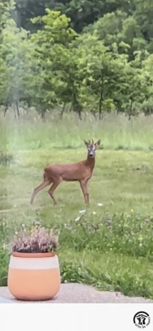 31G101741-398df09046504bc1aae390b5ab8b5c81