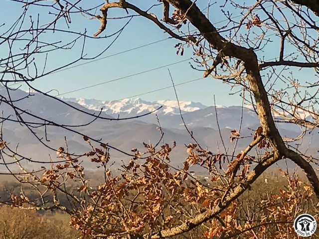 31G101741-477e57723c8c4c2ab1b58a56da6b8bdb