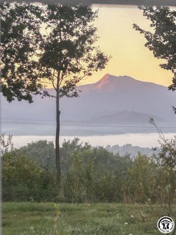 31G101741-6a65a3c87d9d4cc288fc1df546adf80b