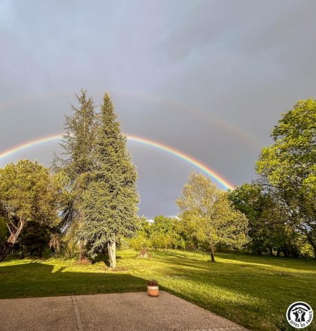 31G101741-7e5d5036bb034e5f8fd1366bbcea39b1