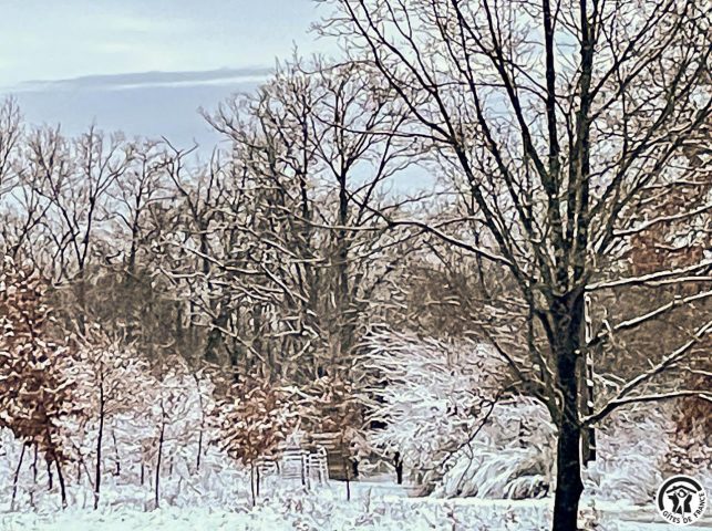 31G101741-93c5a7f310ba4e5aa9d3a656e0401a8e