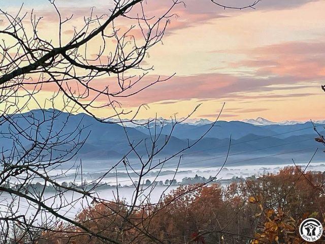 31G101741-a21f8550decc4be6b8563e8c0ce94658