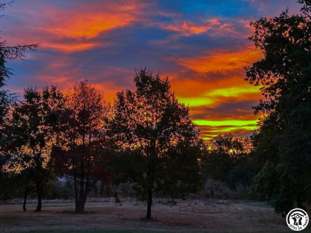 31G101741-a4b4abc637314fb6be6943d96ae1e128