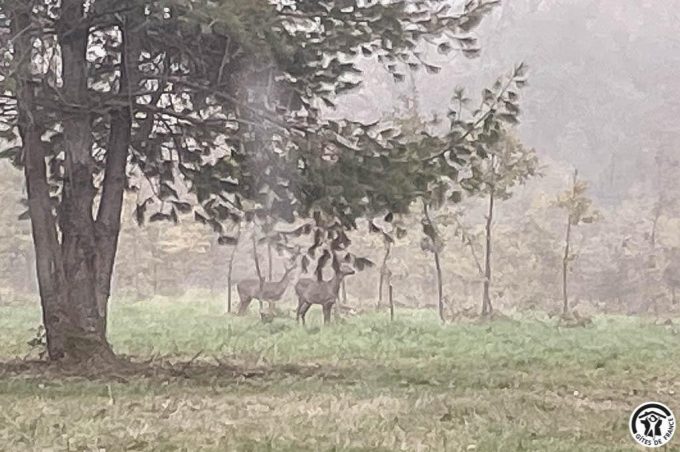 31G101741-b0023e49ba884932b93b9d34c212a45a