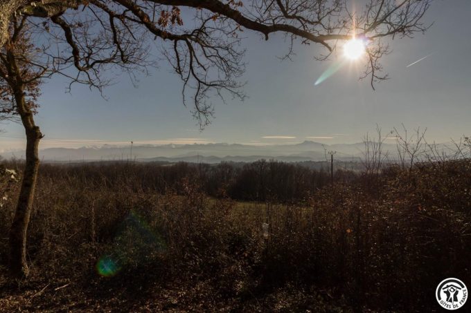 31G101741-d8e08d34a98d4ffbaf7d483f4271ec06