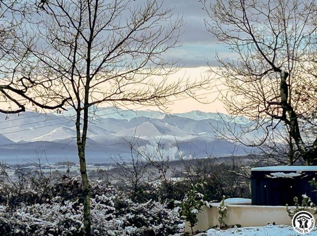 31G101741-fc61cac20f6d4a3fa525a64ecf46f419