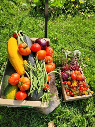 31G101753-0980b391c91c4560ab1753c34b36d1ba