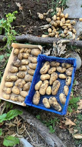 31G101753-0be2d0fc02484e82a7f9df16be1f6864